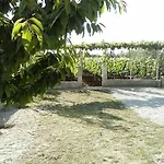 Guest house Marijana 3*