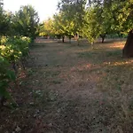 Guest house Marijana Lozovac