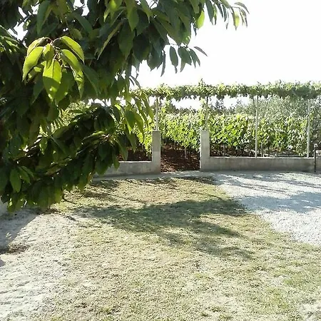 בית הארחה Marijana 3*