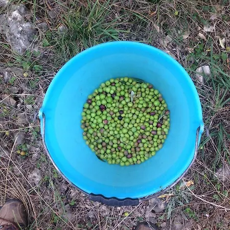 Marijana 3* Лозовац