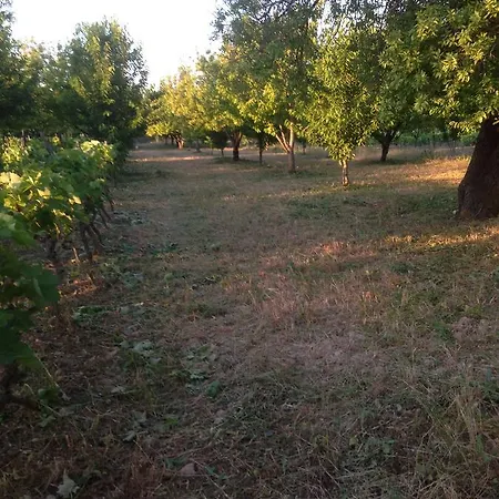 בית הארחה Marijana לוזובאק