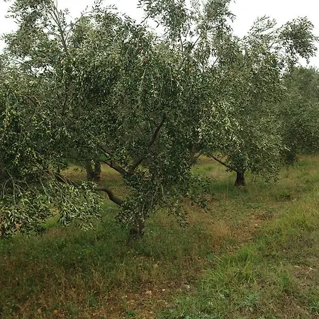 Marijana 3* Lozovac