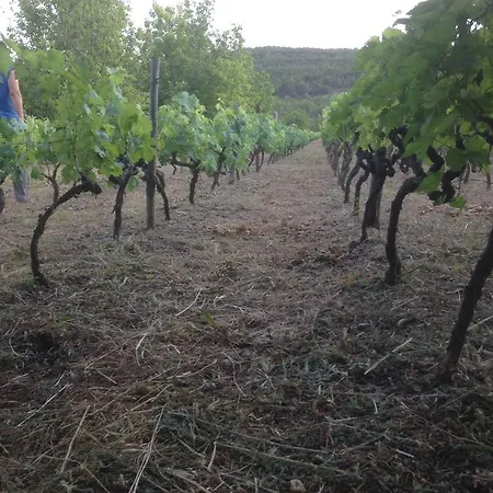 Гостевой дом Marijana