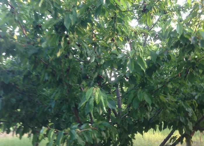 Affittacamere Marijana Lozovac