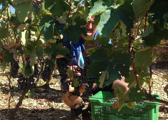 Marijana Konukevi 3*