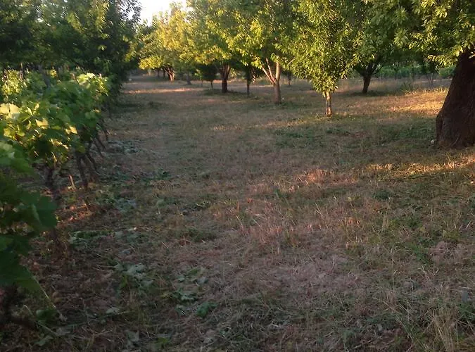 Konukevi Marijana Lozovac