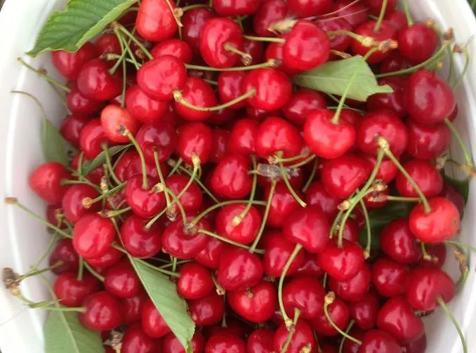 Konukevi Marijana 3*