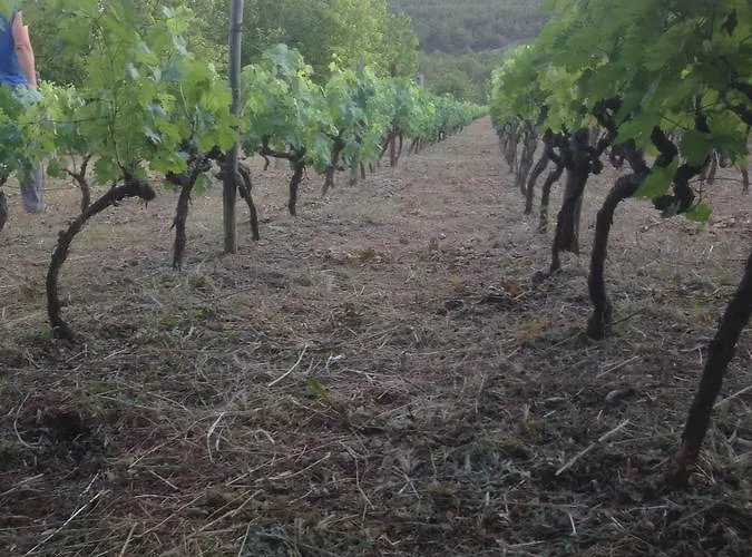 Affittacamere Marijana